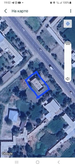 Нотурар бино  natural bino