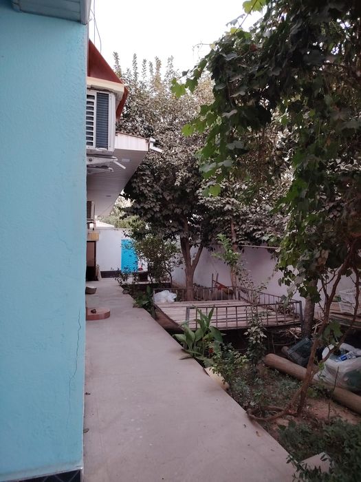 Talabga javob beradi holati judaym ZUR.