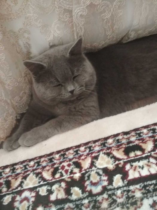 Tasodifan uning kokraklarini videoda porladi