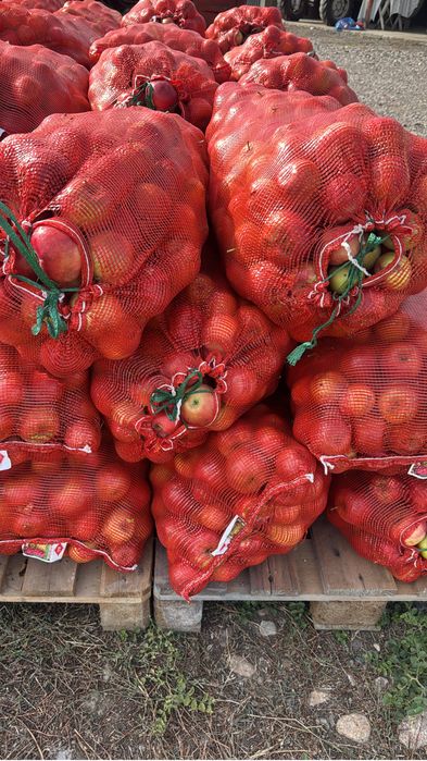 Продам яблоки в мешках
