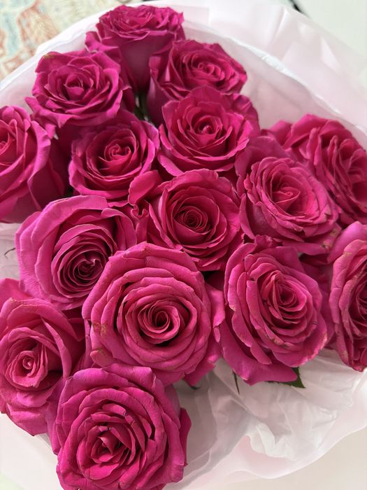 Цветы розовые розы