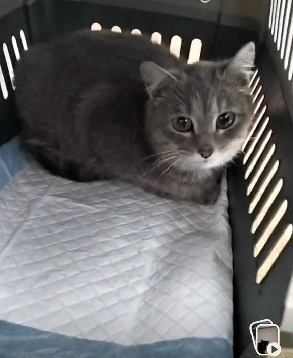 По дороге к счастью - Боня