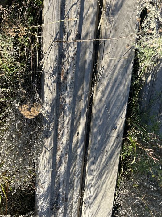 Продам пол сруба