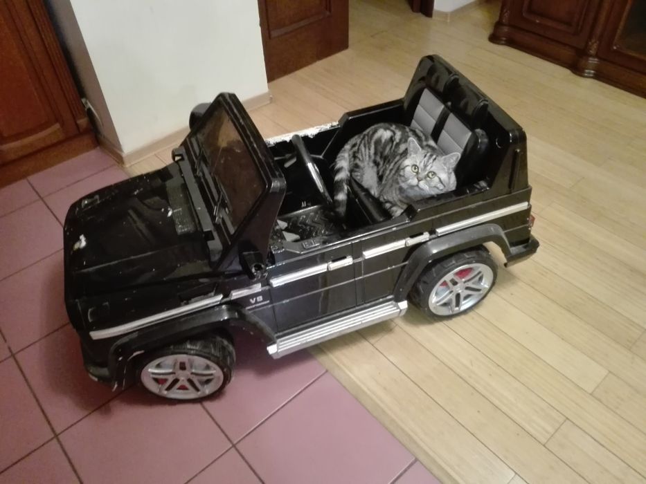 Британец чемпион