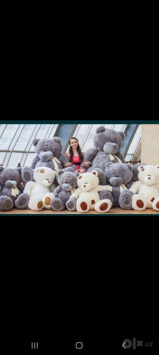 Teddy orginal 10%Skidka