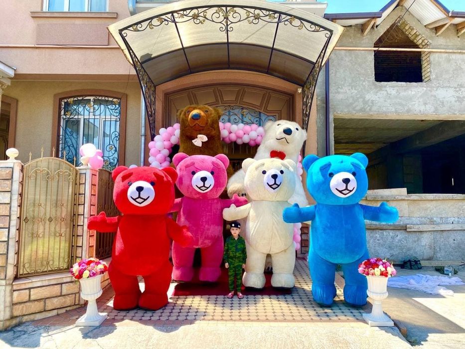 Sharli oformleniya ayiqlar xizmati foto video