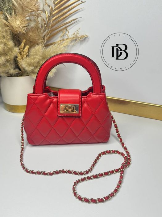 Aldo сумки (  Алдо )