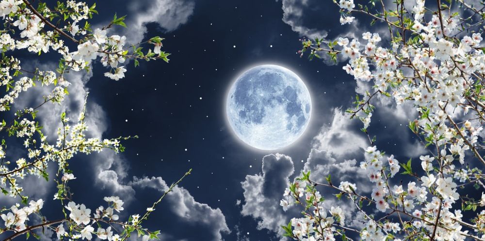 Universal_ustapro. Xovli uy kivartira barcha qurulish soxadagi xizmat