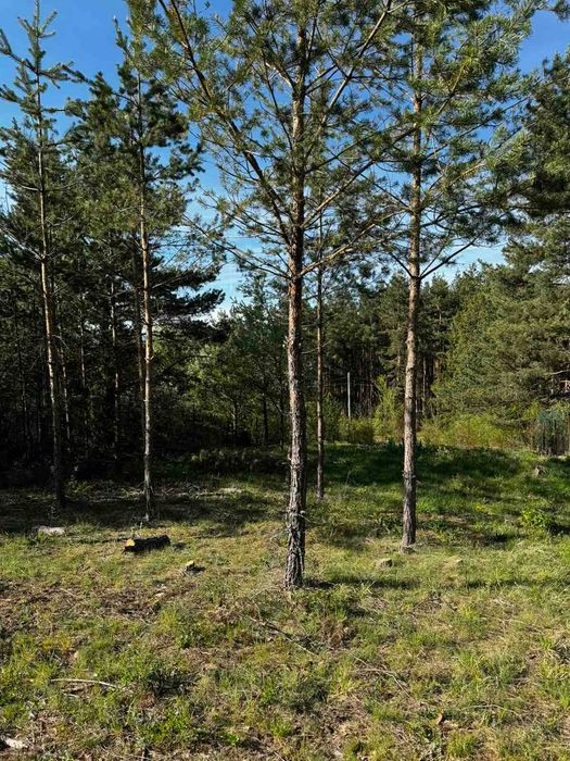 Продава се Парцел в с. Злокучене, Област София-област - 530 кв.м за 85 €/кв.м - Снимка #7