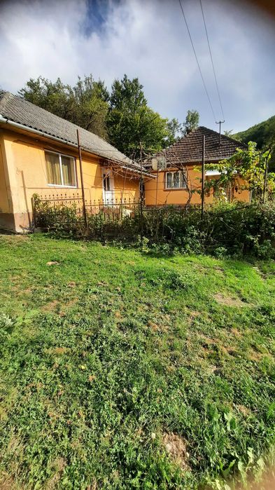 Casa si gradina de vanzare