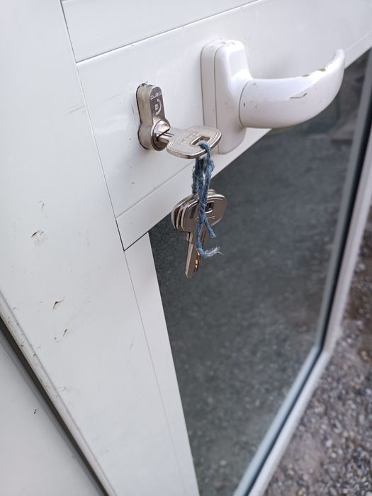 Ușa termopan 119/243