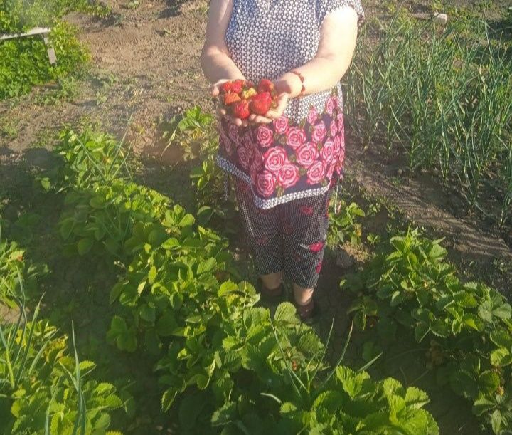 Продам дачу район саздинского водохранилища.