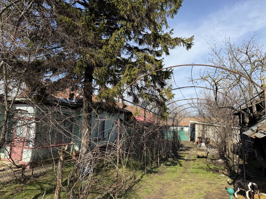 Vand casa in Viisoara Teleorman
