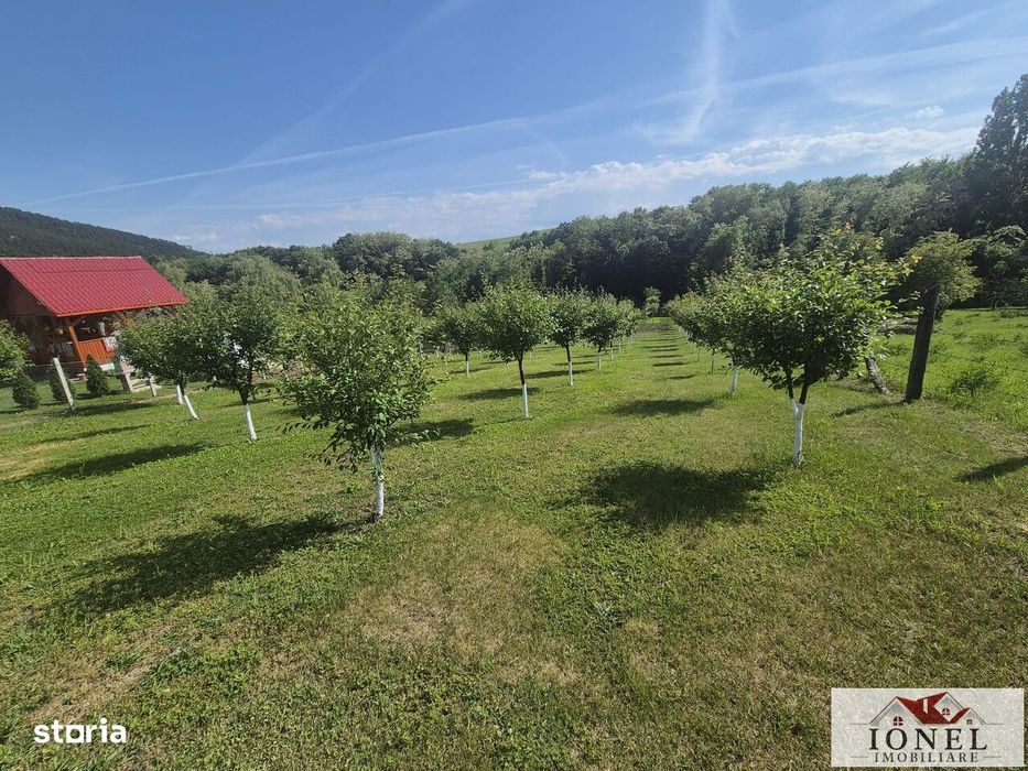 Teren intravilan 2292 mp in Vintu de Jos