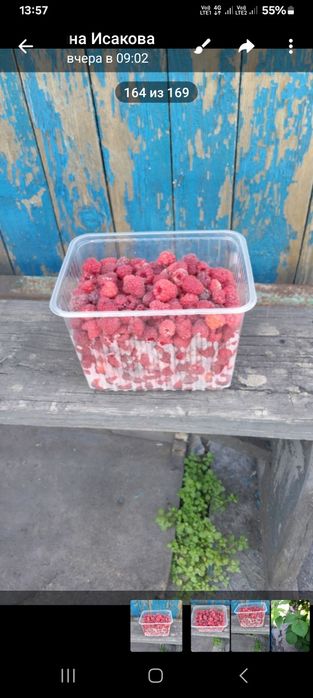 Продам малину домашнюю