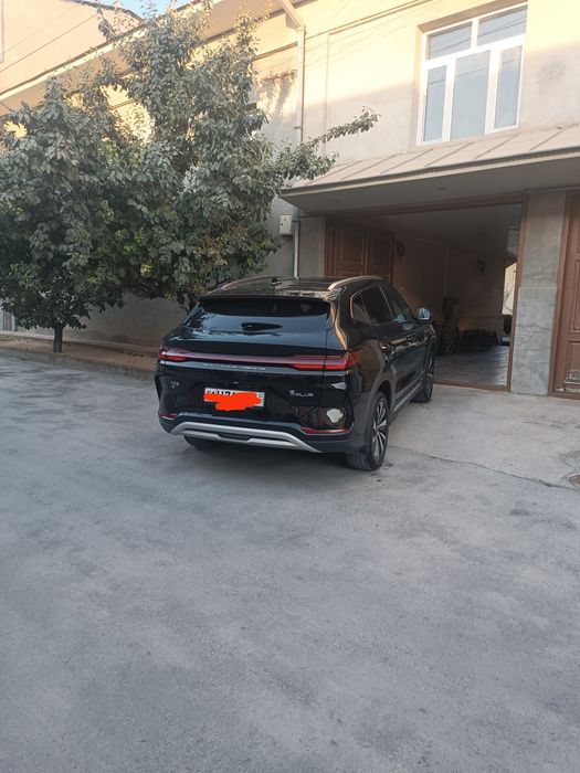 Byd chempion 605  sotiladi