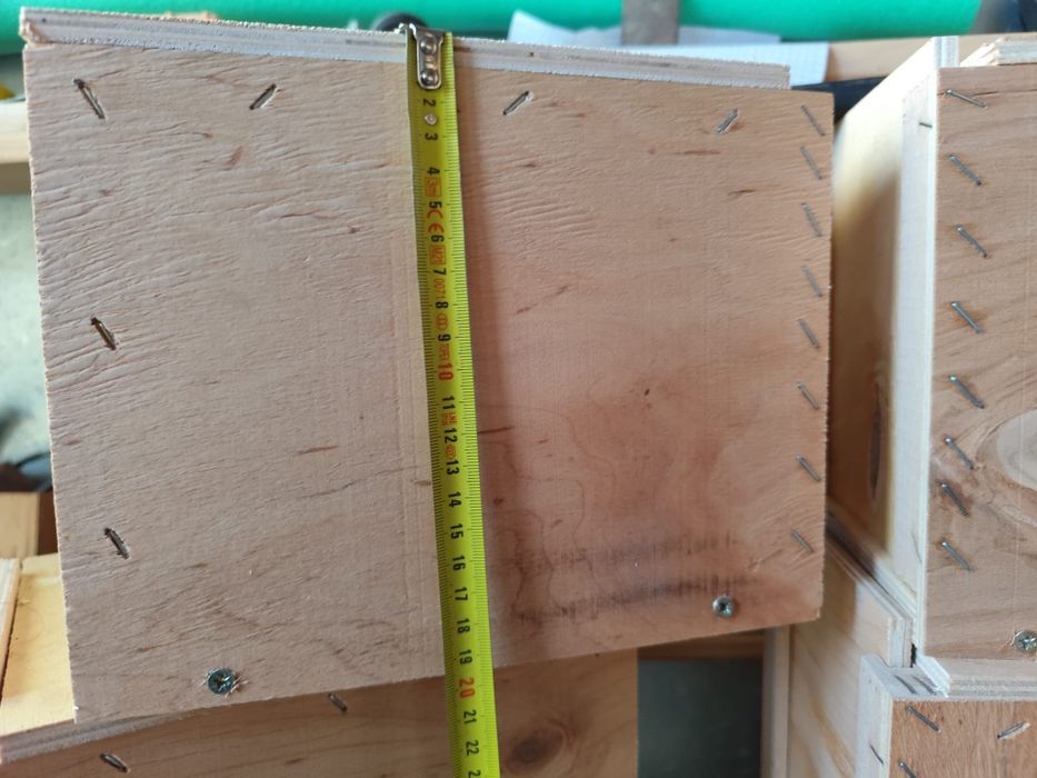 Cuiburi papagali și veverițe