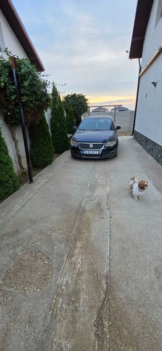 Închiriere casă Măgurele Ilfov