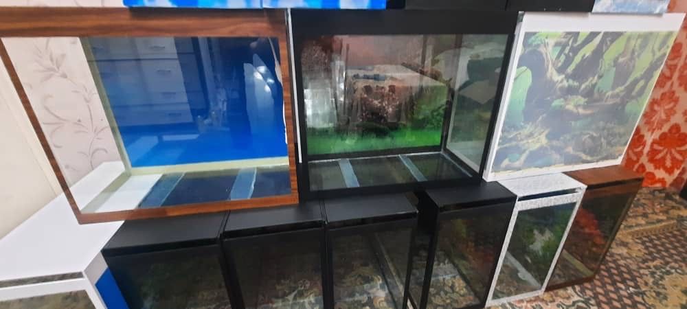 Аквариумы для дома и офиса