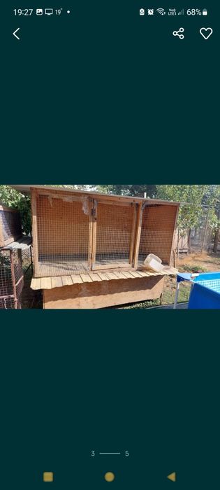 Клетки срочно разные размеры