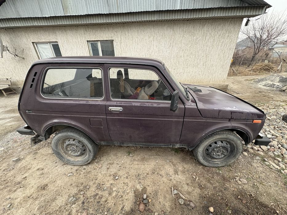 Ниав средний састена