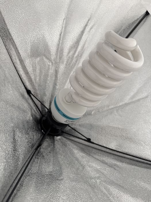 Комплект студийного видеосвета