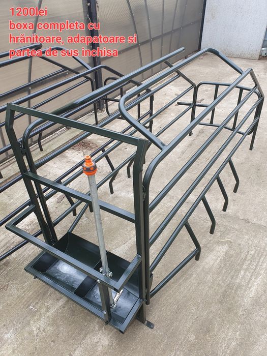 Fătare scroafe boxe