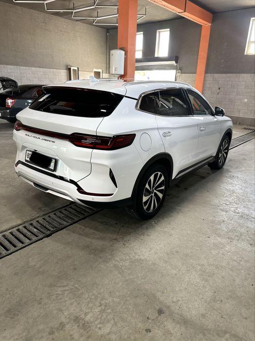 Byd chempion gibrid 150