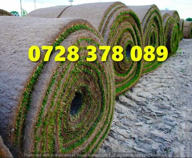 Gazon rulou Sistem de Irigare Oriunde in tara Calitate Extra