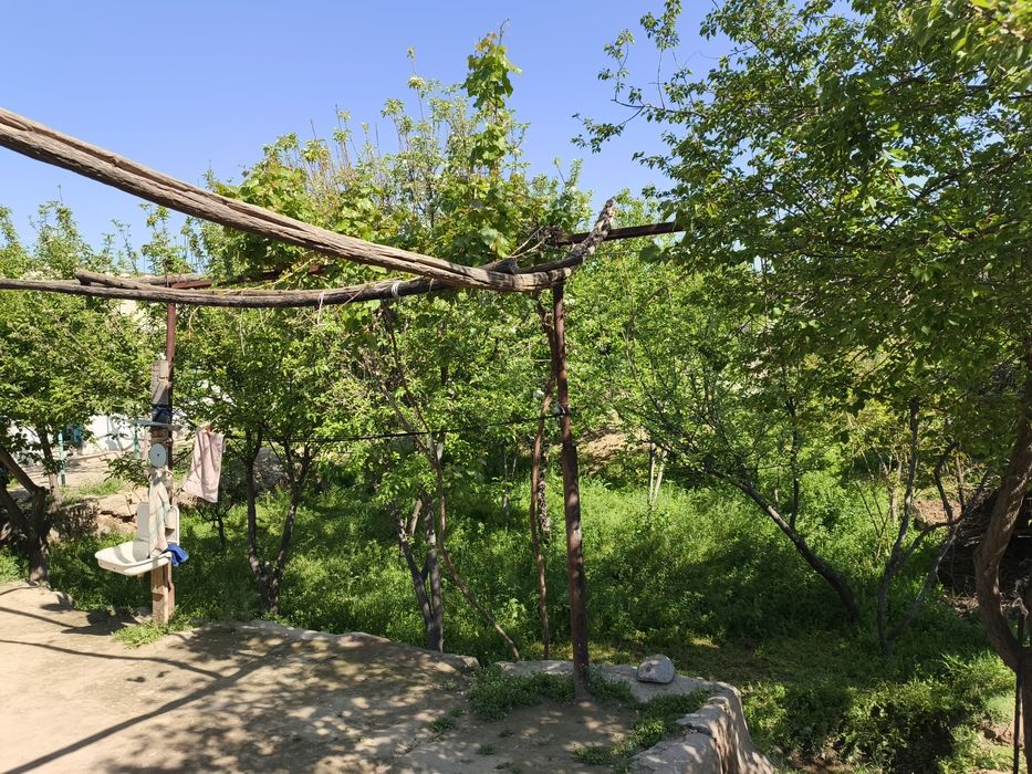 Ziyovuddin shaxarchasi, Mirzo Ulug'bek  MFY, Navoiy k 19 uy.