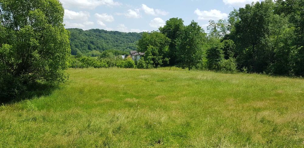 29.000mp lângă Curtea de Argeș, 2 căsuțe, curent electric și apă rețea