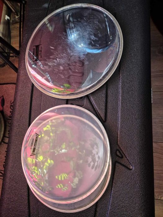 Кожи за барабани 8,10,12,14,16 и 22