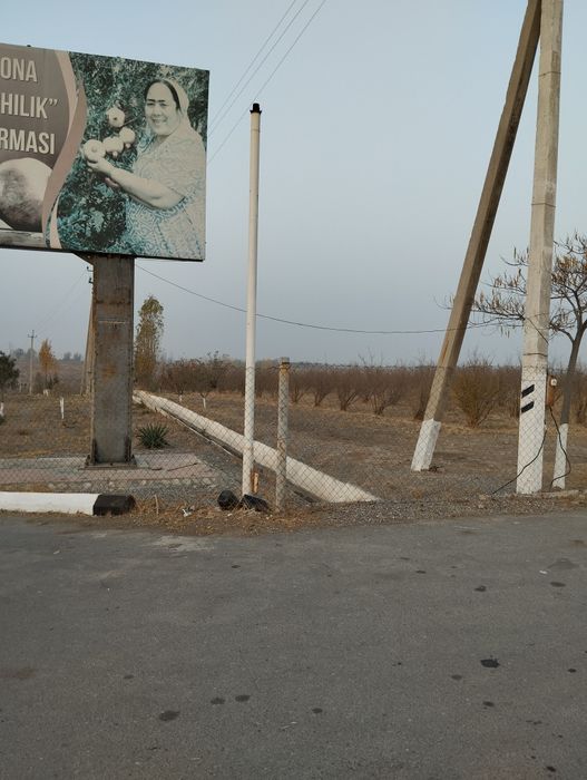 Анор бог 5 йиллик