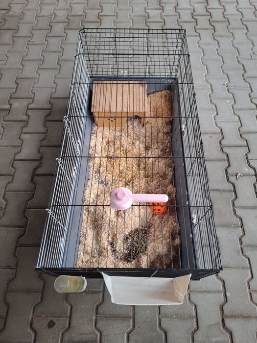 Vand cusca mare rozătoare/iepure