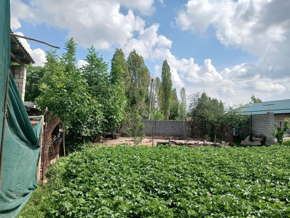 Участка сотилади СУРУМДА