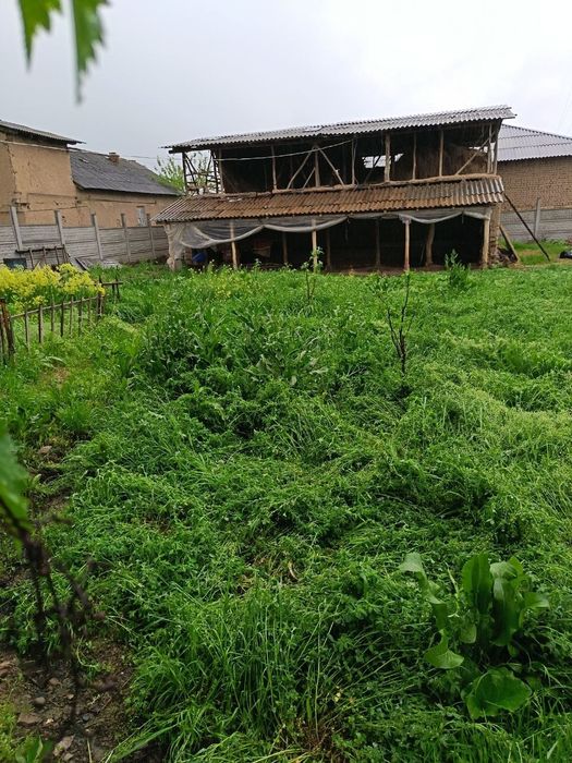 Juma bozordan bosh yer