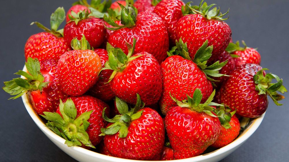 Уникален ЦЕЛОГОДИШЕН Разсад Корени - Ягоди и Малини