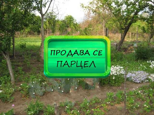 Продава се парцел в местност "Арменски Лозя"