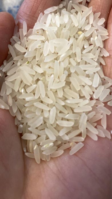 Күріш- рис лазер керемет