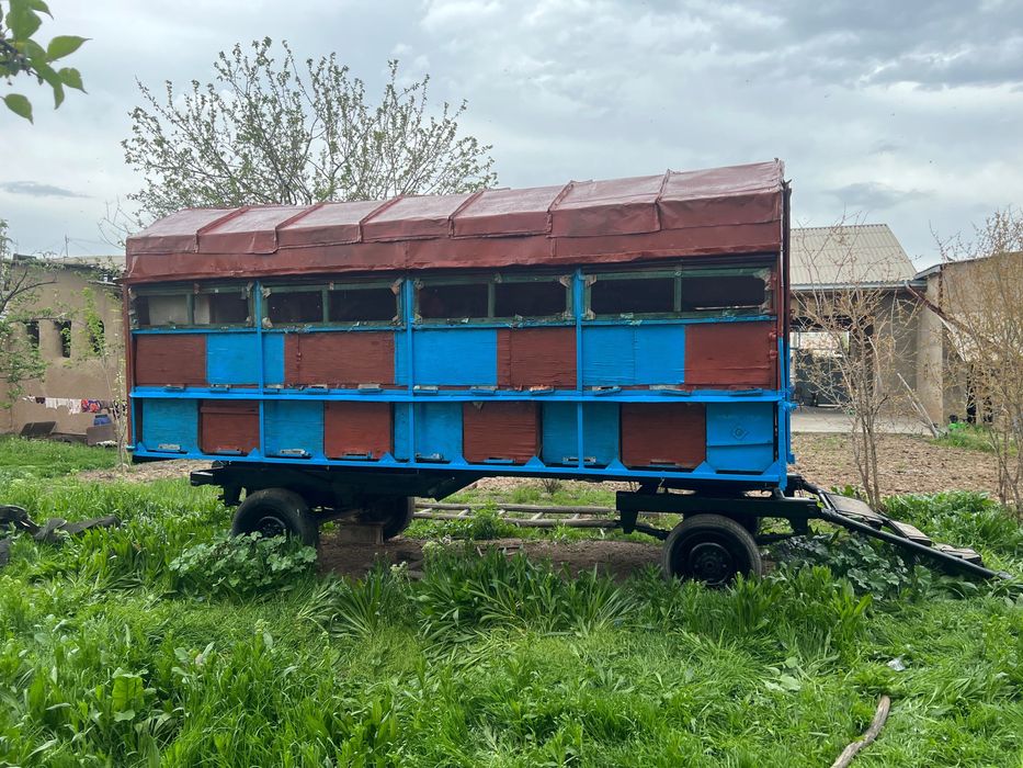 Asalari vagoni sotiladi 24/7. Aloqadamiz