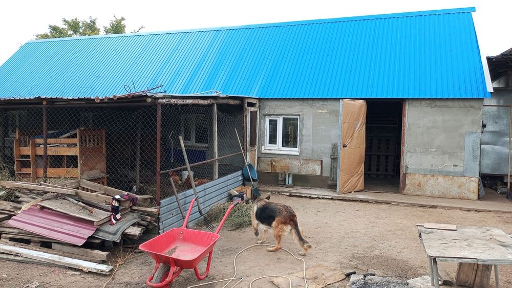 Дача + подсобное хозяйство