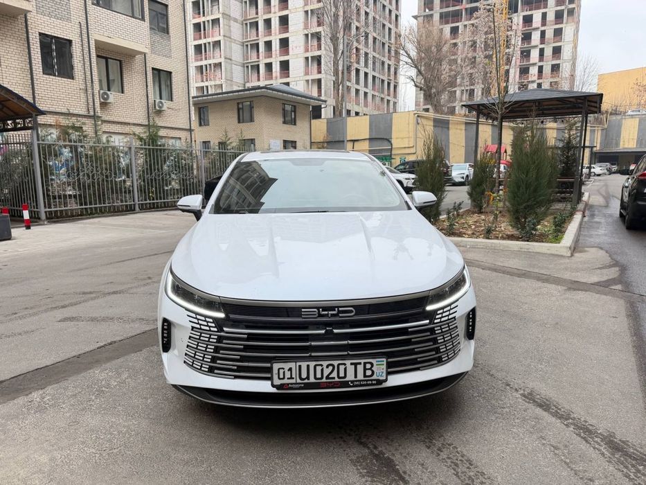Byd chazor 2025 год 2 позиция с люком