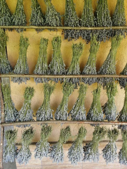 Buchete, sapun cu lavanda, sirop de lavanda, lumanari, saculeti cu lav