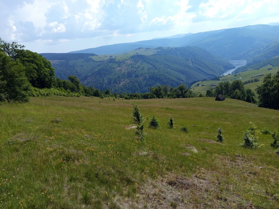 Teren de vânzare la munte - Jina, Sibiu