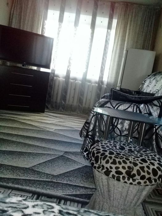 1,5ка посуточно в центре