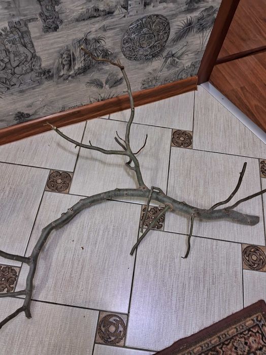 Коряга для аквариума