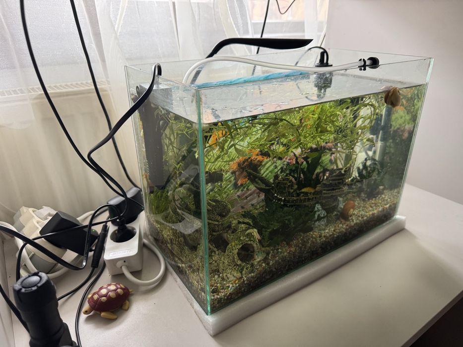 Vand acvariu fara capac , volum 24 l