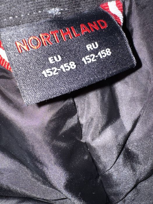 Утепленные брюки для мальчика Northland