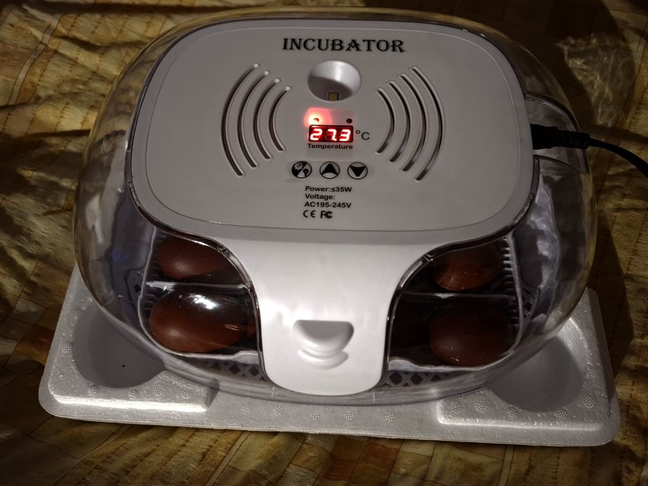 Incubator automatic
