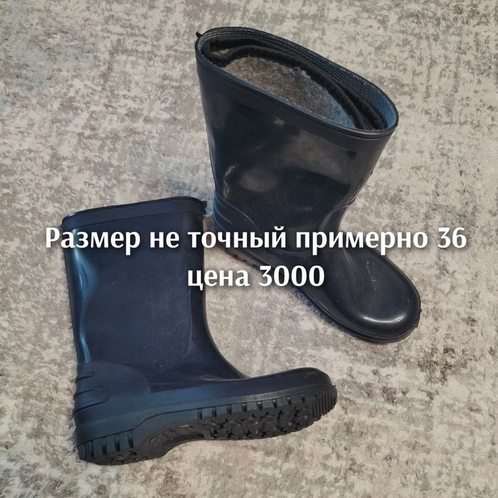 Осень -весна не дорого